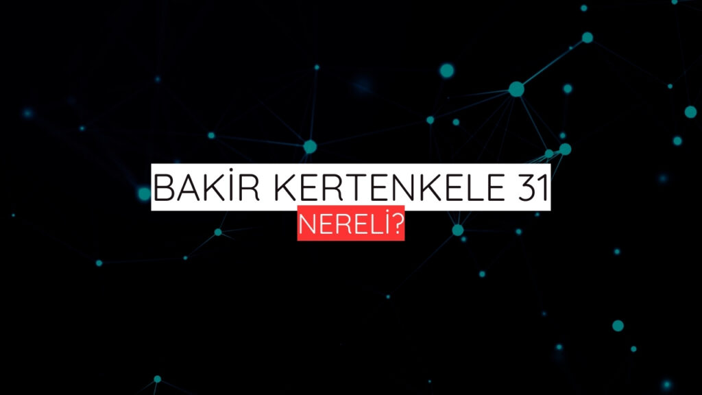 Bakir Kertenkele 31 Nereli?