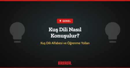 Kuş Dili Nasıl Konuşulur?