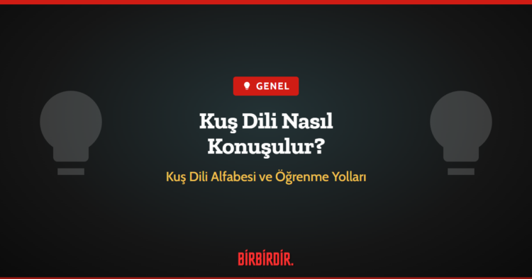 Kuş Dili Nasıl Konuşulur? Kuş Dili Nasıl Konuşulur?