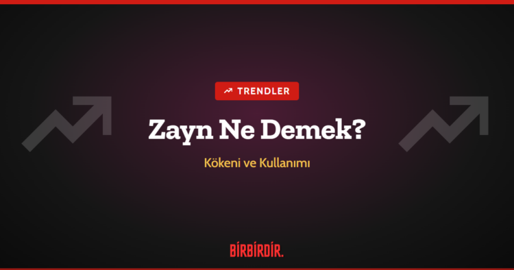 Zayn Ne Demek? Zayn Ne Demek?